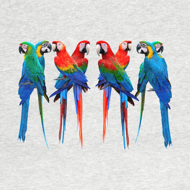 Beautiful Macaws. The Scarlet Macaw, Greenwing Macaw and The Blue and Gold Macaw lovely design for parrot lovers. by Abstractdiva